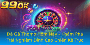 A Ga Thomo Hom Nay Kham Pha Trai Nghiem Inh Cao Chien Ke Truc Tuyen