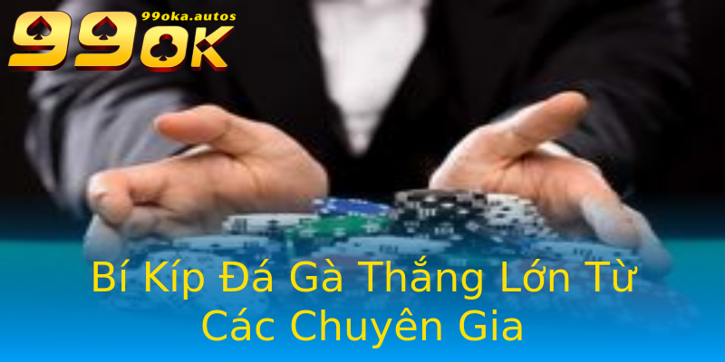 Bí Kíp Đá Gà Thắng Lớn Từ Các Chuyên Gia Bí Kíp Đá Gà Thắng Lớn Từ Các Chuyên Gia
