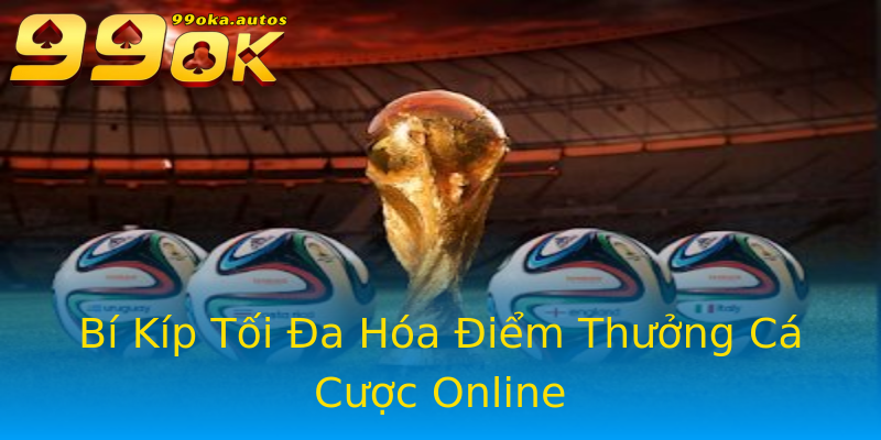 Bí Kíp Tối Đa Hóa Điểm Thưởng Cá Cược Online Bí Kíp Tối Đa Hóa Điểm Thưởng Cá Cược Online