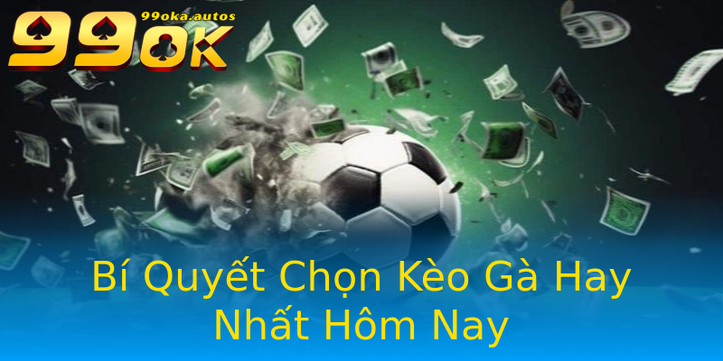 Bí Quyết Chọn Kèo Gà Hay Nhất Hôm Nay Bí Quyết Chọn Kèo Gà Hay Nhất Hôm Nay