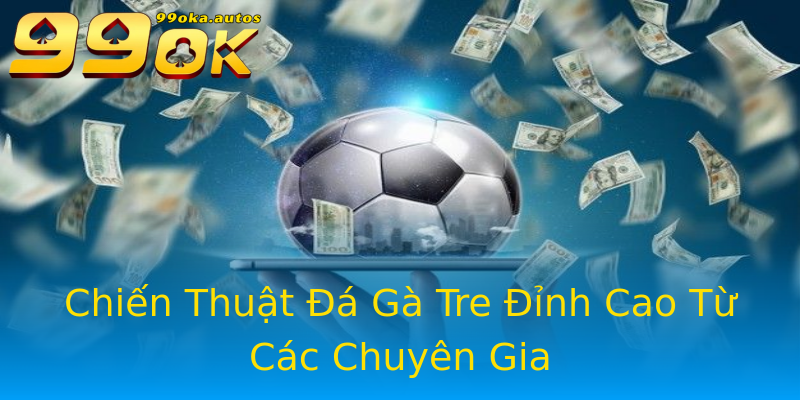 Chiến Thuật Đá Gà Tre Đỉnh Cao Từ Các Chuyên Gia Chiến Thuật Đá Gà Tre Đỉnh Cao Từ Các Chuyên Gia
