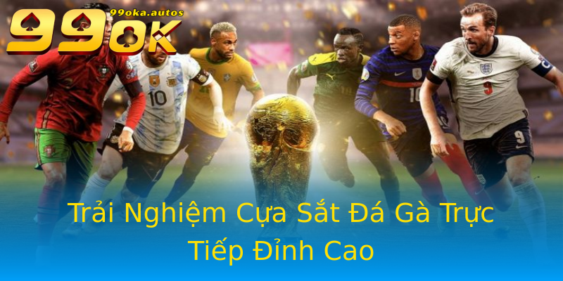 Trải Nghiệm Cựa Sắt Đá Gà Trực Tiếp Đỉnh Cao Trải Nghiệm Cựa Sắt Đá Gà Trực Tiếp Đỉnh Cao