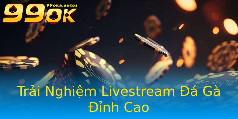 Trải Nghiệm Livestream Đá Gà Đỉnh Cao Trải Nghiệm Livestream Đá Gà Đỉnh Cao